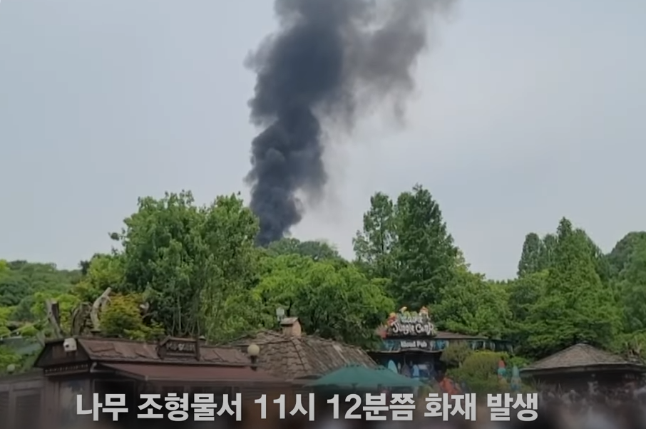  용인 에버랜드 화재 사건, 안전한 테마파크를 위한 고찰