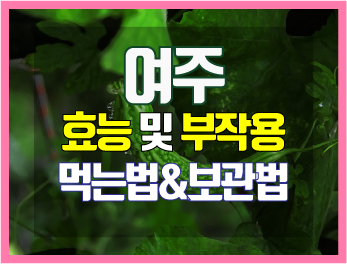 '쓴 오이'라 불리는 여주 효능과 부작용 및 먹는법, 보관법까지 깔끔 정리!
