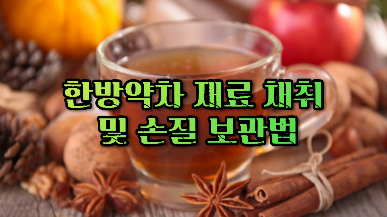 한방약차 재료 채취 및 손질 보관법