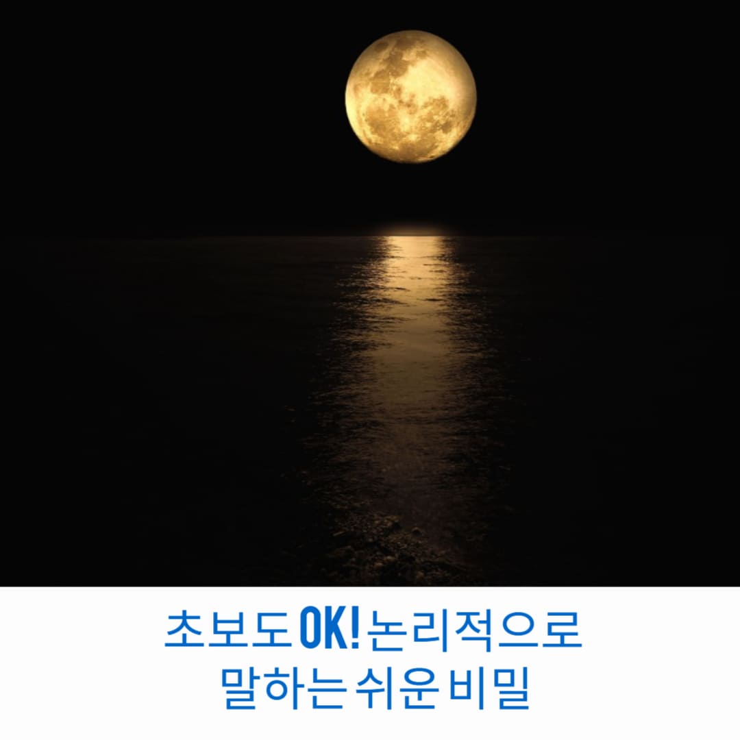 초보도-OK-논리적으로-말하는-쉬운-비밀-썸네일
