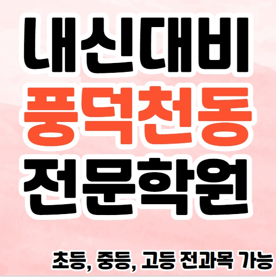  풍덕천동 초등 영어학원 수지구청역 고등 국어학원 중등 사회 한국사 소수정예 종합 단과학원 내신 수능 시험대비