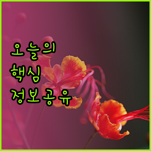 비엔나 호스텔 숙박 팁! 어린이 동반