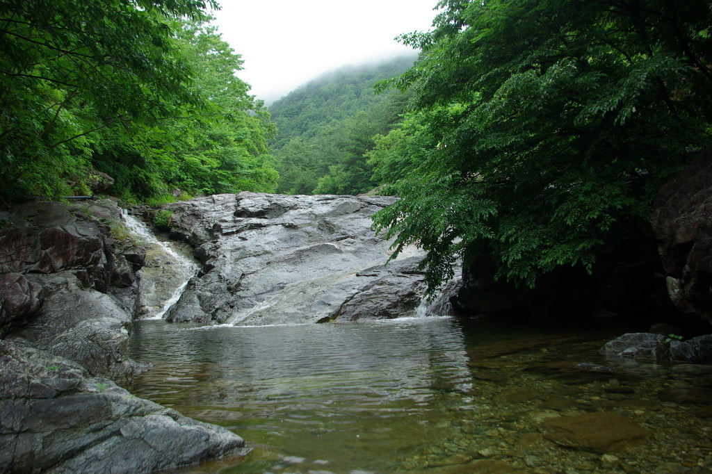 img.jpg