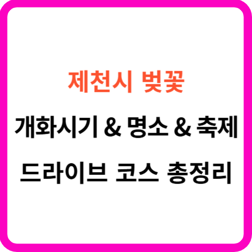 제천 벚꽃 개화시기 명소 축제 드라이브 코스 가이드 썸네일