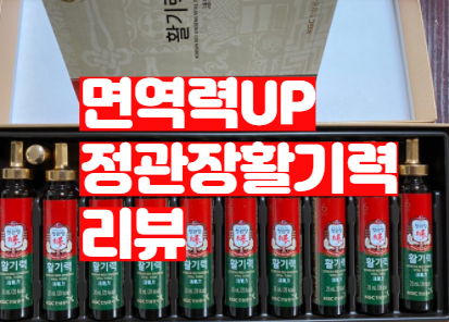  면역력 증진을 위한 정관장 활기력 내돈내산 리뷰!