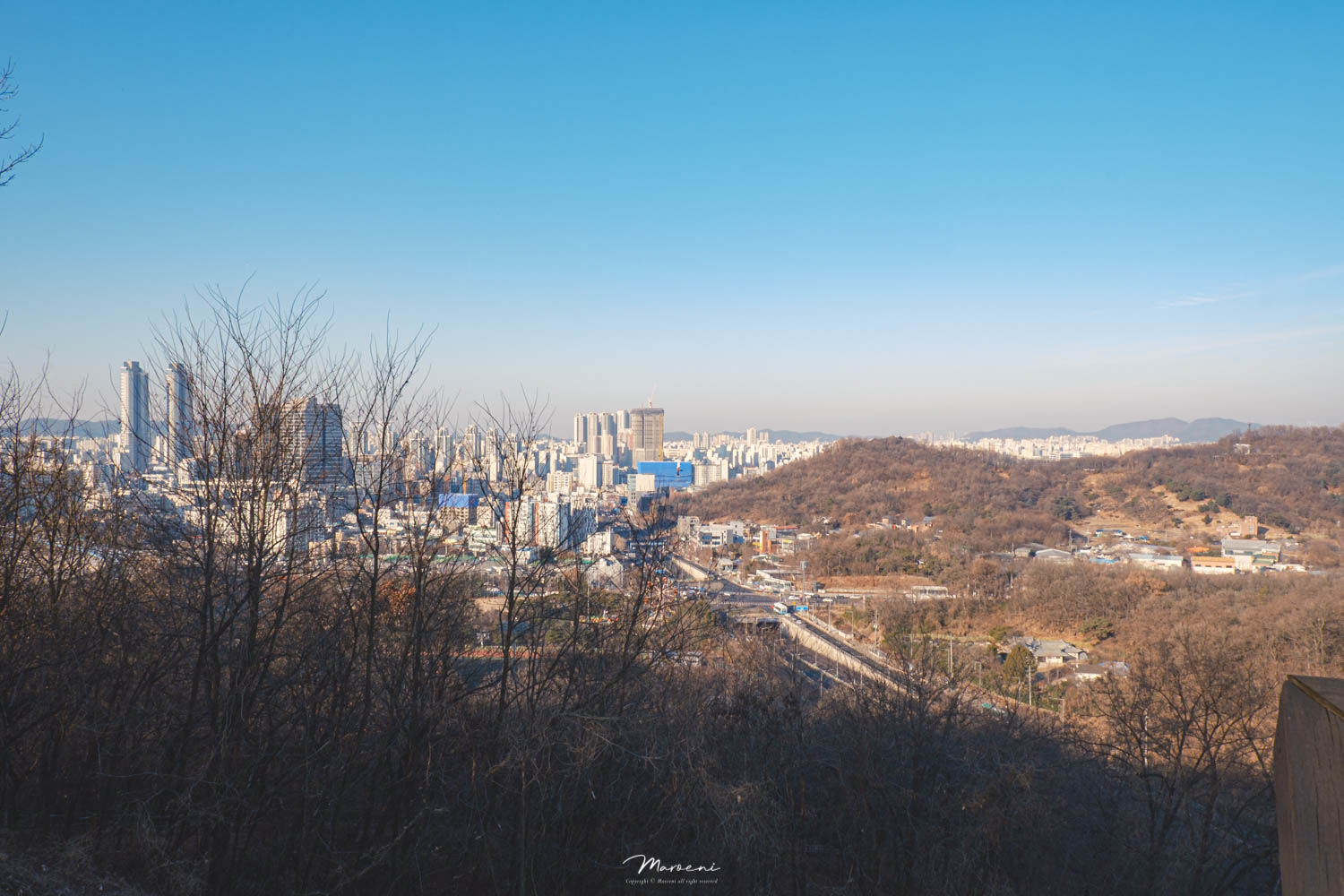 전망의숲