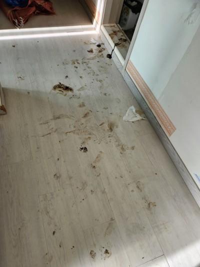 경기청소 이미지