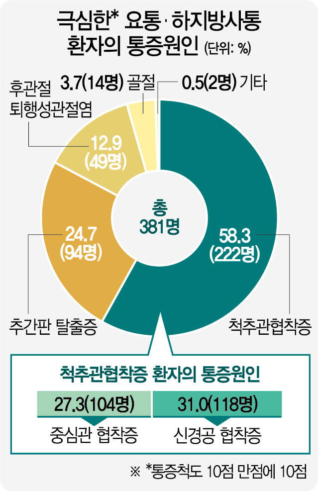 허리통증의 원인 그래프