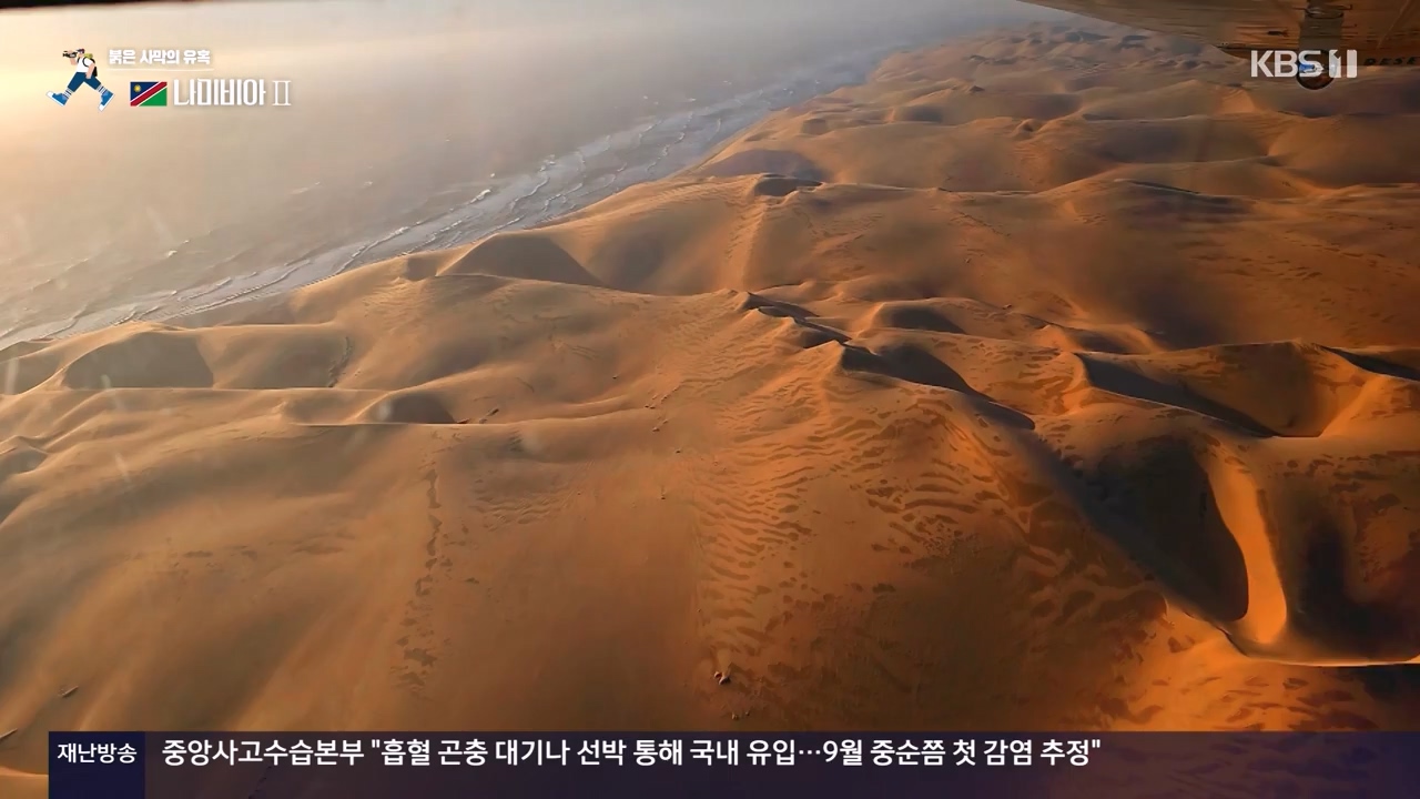 걸어서 세계속으로.E816.231105p-NEXT.mp4_20231104_175442.016.jpg