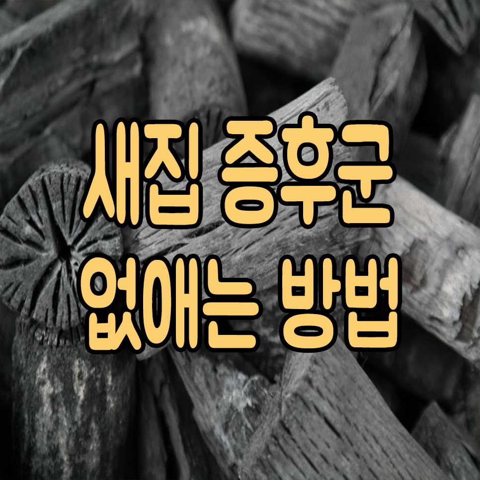  새집 증후군 없애는 방법 이렇게만 하세요