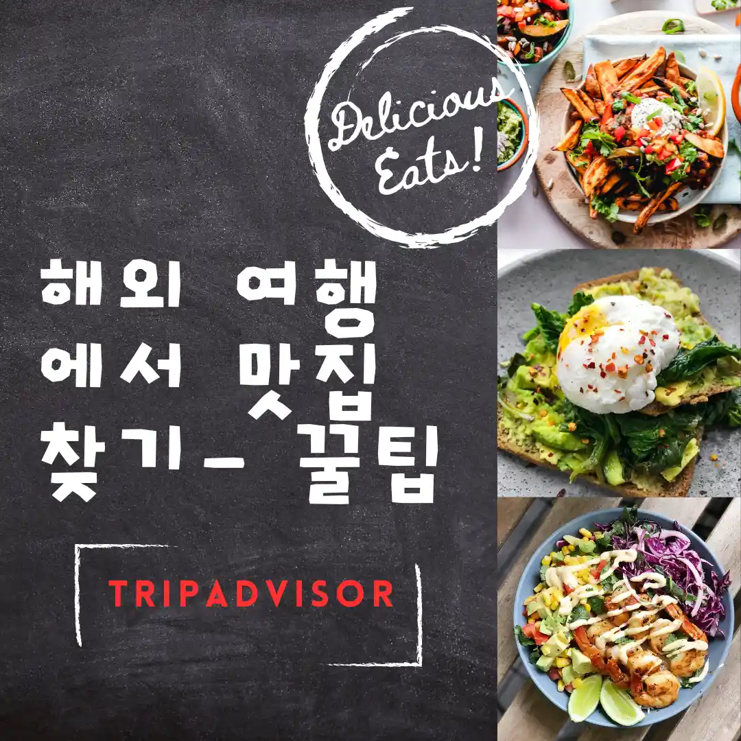 애플해외여행사 이미지