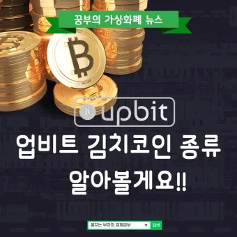 김치코인 종류 전망_20