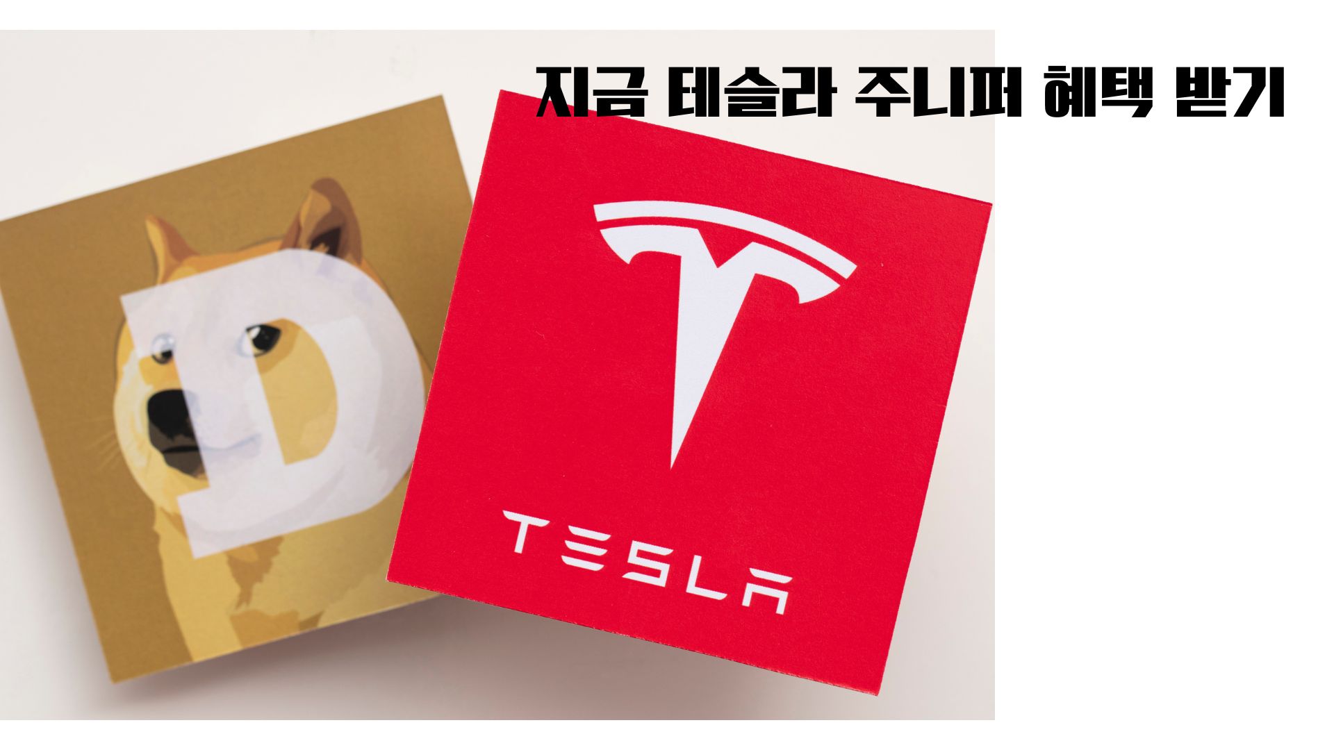 진짜 산 사람의 후기&amp;#44; 테슬라 주니퍼 모델Y 구매 정리 할부&middot;리스&middot;카드할인 실속팁