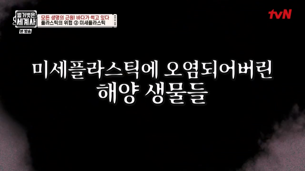벌거벗은 세계사.E90.230315p-NEXT.mp4_20230419_212549.219.jpg