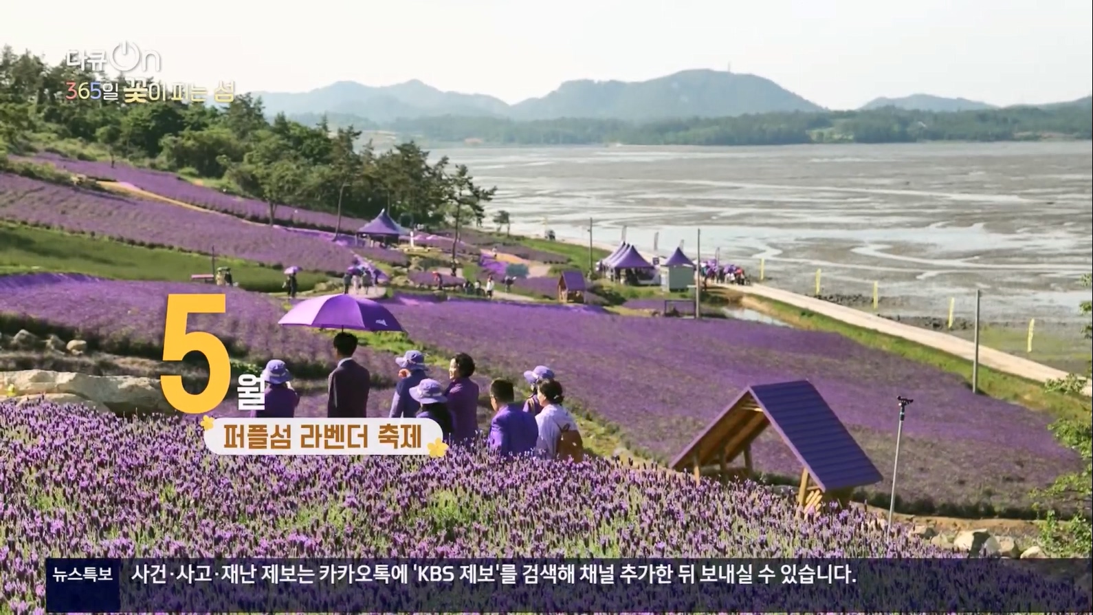 다큐 On.E201.230610p.H264-F1RST.mp4_20230611_164655.659.jpg