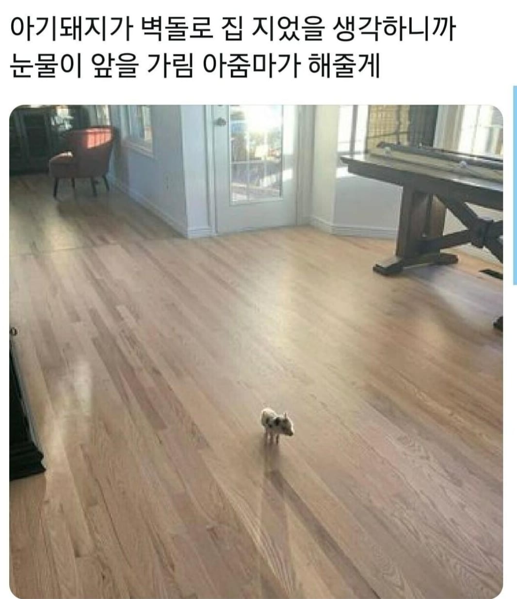 첫째 돼지도 이것보단 잘 짓겠다짤 아기돼지가 벽돌로 집 지었을생각하니까 눈물이 앞을 가림 아줌마가 해줄게 트위터짤모음 첫째 돼지도 이것보단 잘 짓겠다짤 아기돼지가 벽돌로 집 지었을생각하니까 눈물이 앞을 가림 아줌마가 해줄게 트위터짤모음