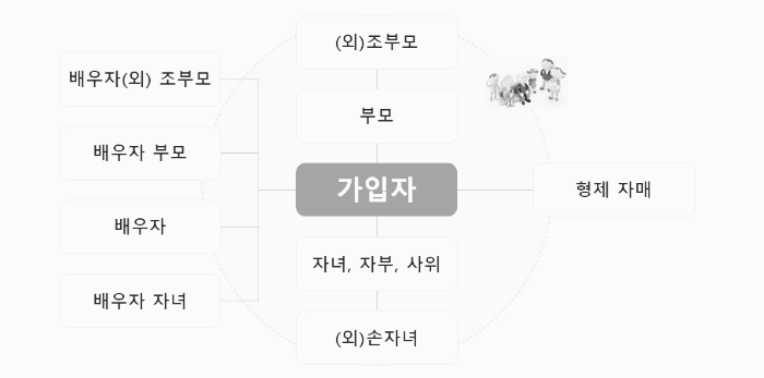 건강보험 피부양자 범위