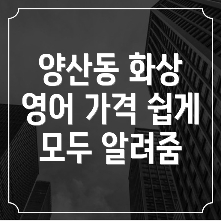 화상영어