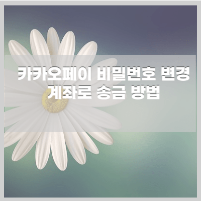 송금과 비밀번호 변경 카카오페이