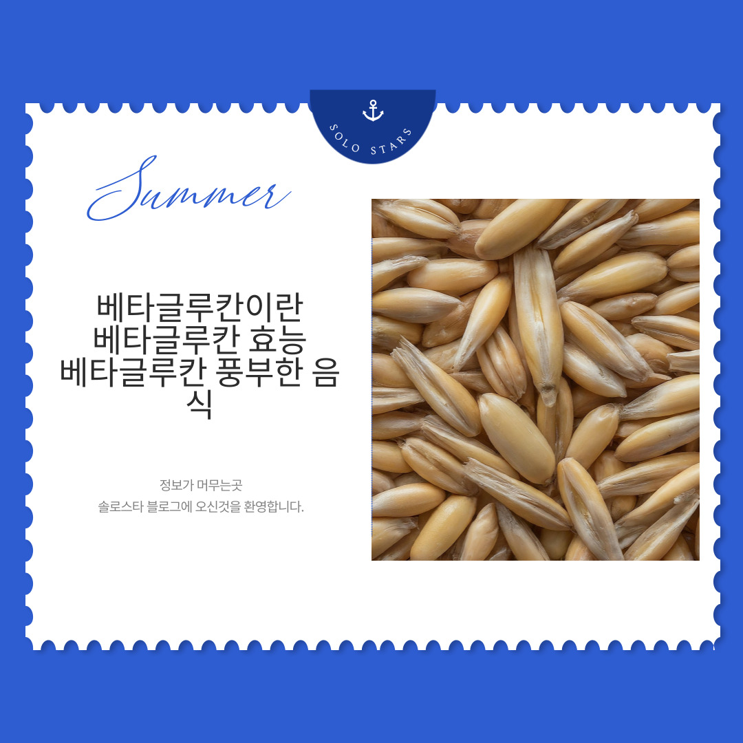 베타글루칸 풍부한 귀리사진
