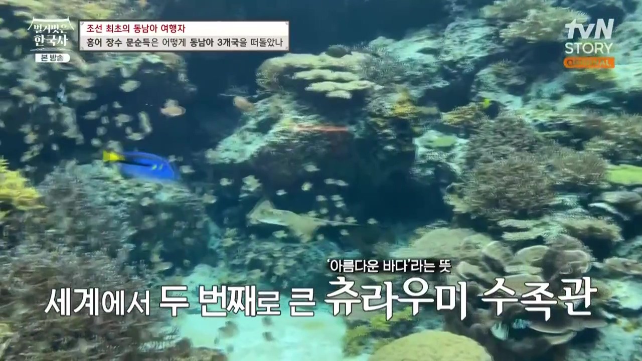 벌거벗은 한국사.E77.231012p-NEXT.mp4_20240515_165623.404.jpg
