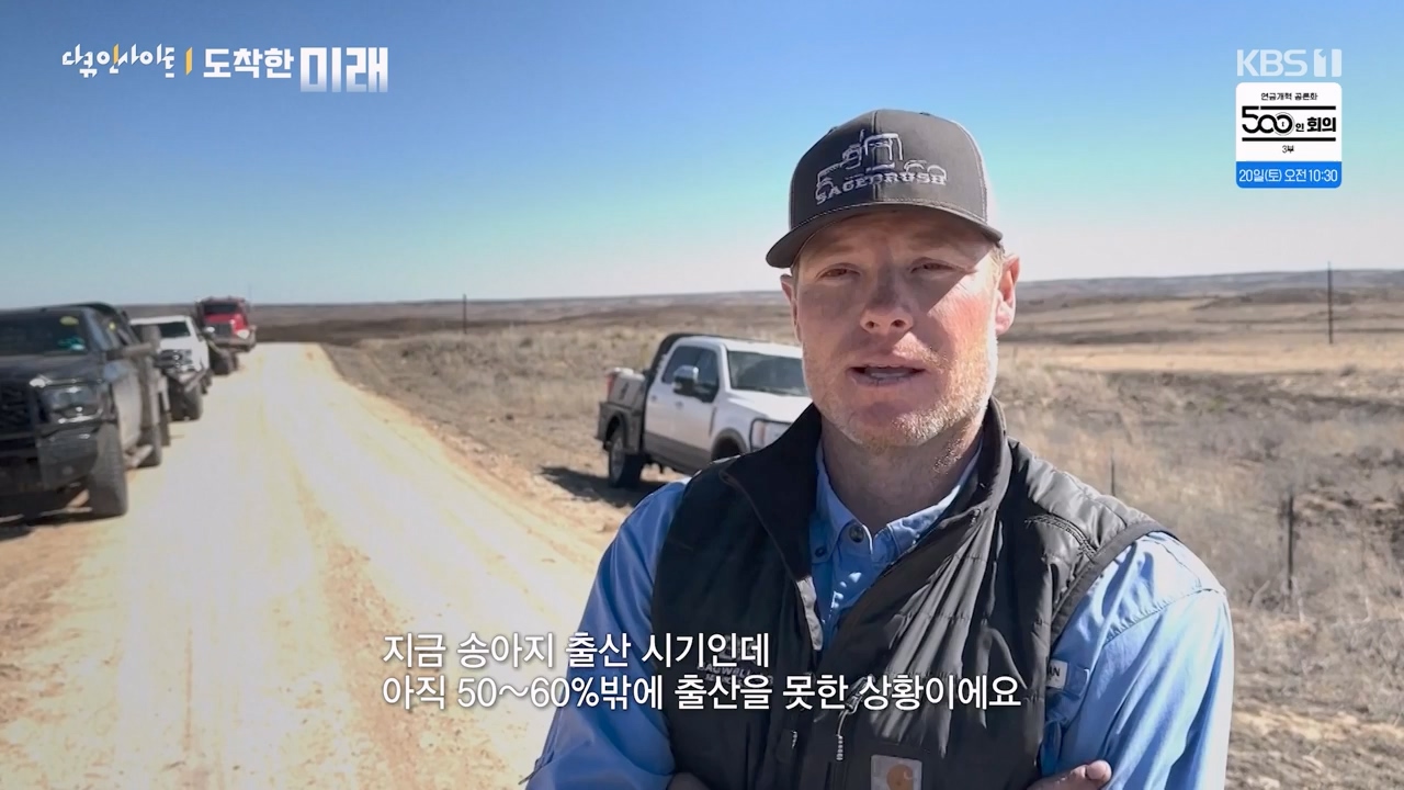 다큐 인사이트.E185.240419p-NEXT.mp4_20240420_161117.468.jpg