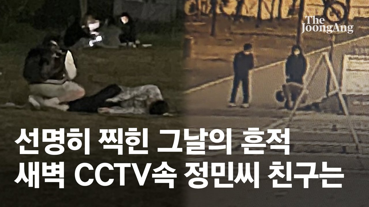  [영상] 한강대학생 사건, 그날 새벽 한강공원CCTV엔