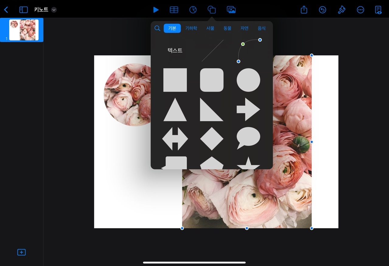 키노트도형사진