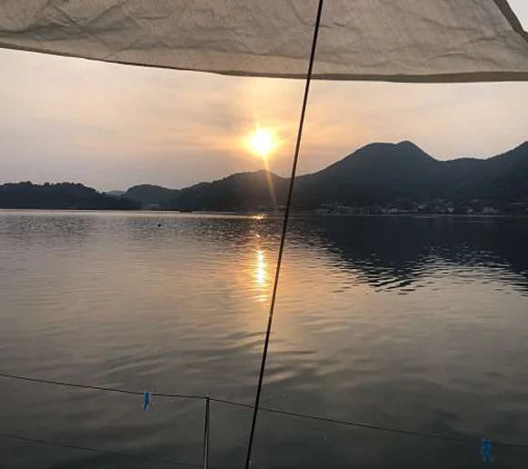 옐로피쉬