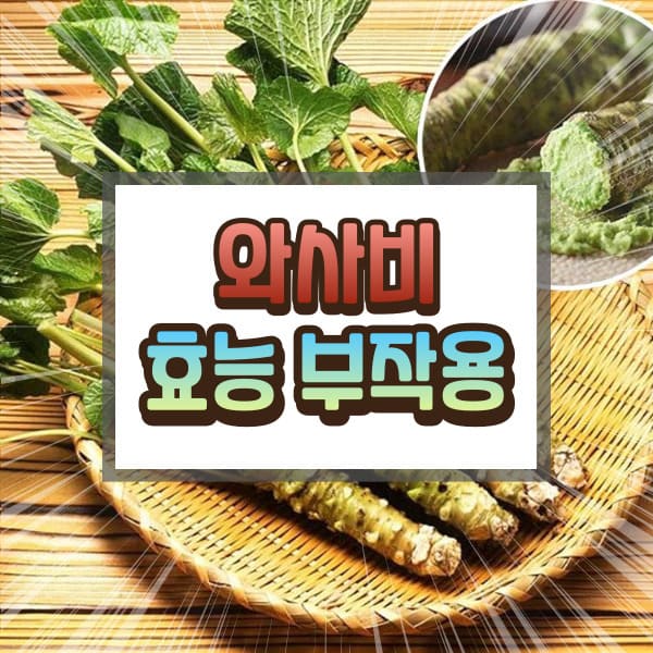 와사비에 대하여