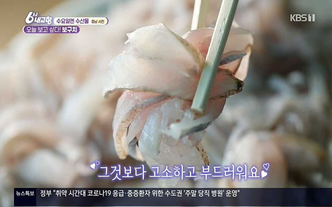 6시 내고향.E7608.220832p.H264-F1RST.mp4_20220901_204406.367.jpg