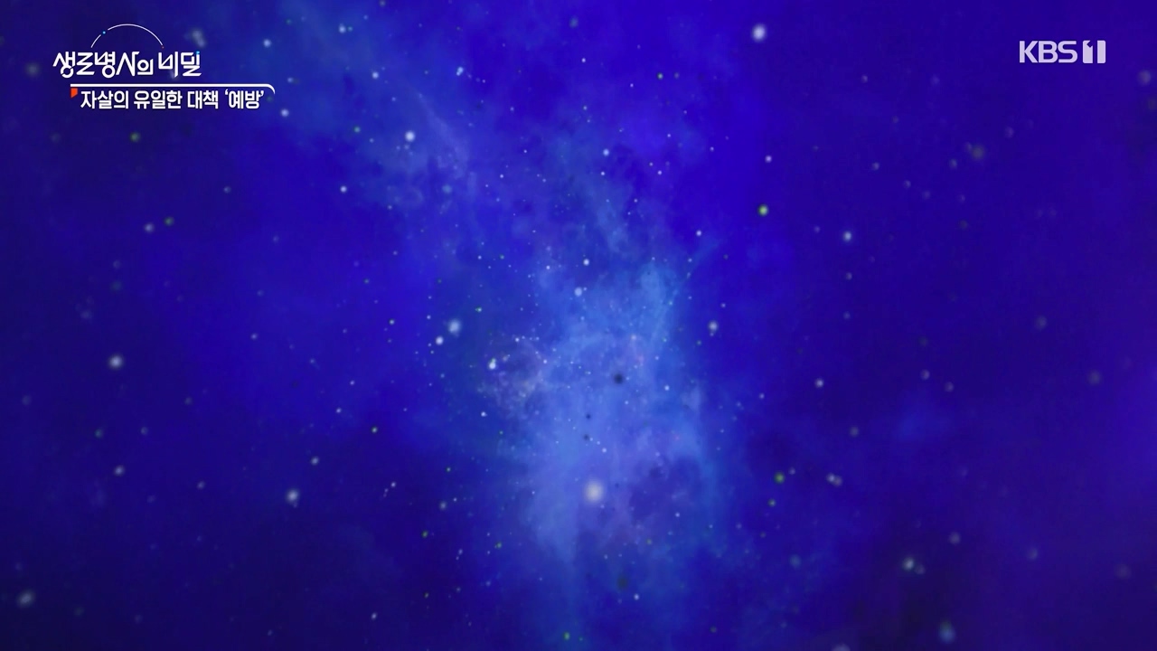 생로병사의 비밀.E905.240321p-NEXT.mp4_20240321_201900.977.jpg