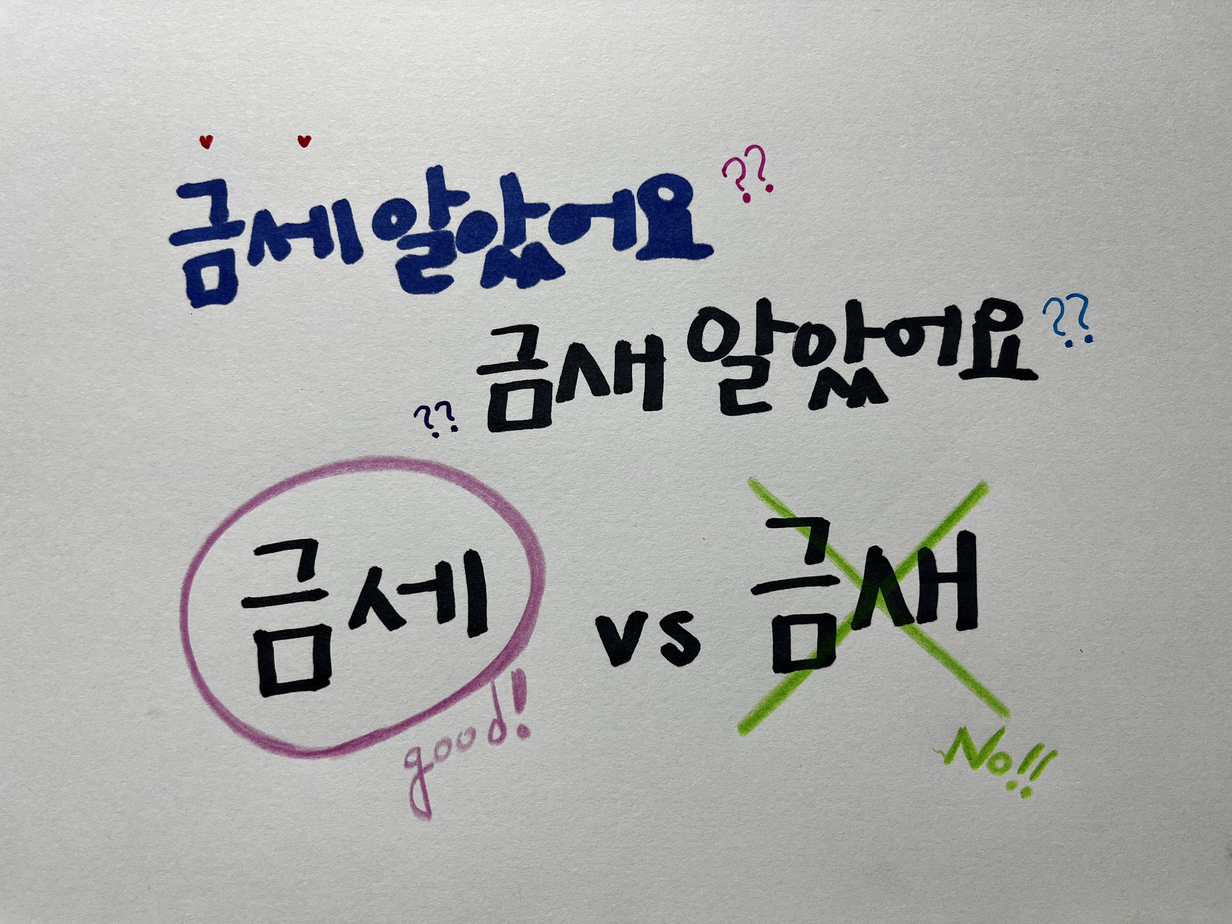 금세알았어요