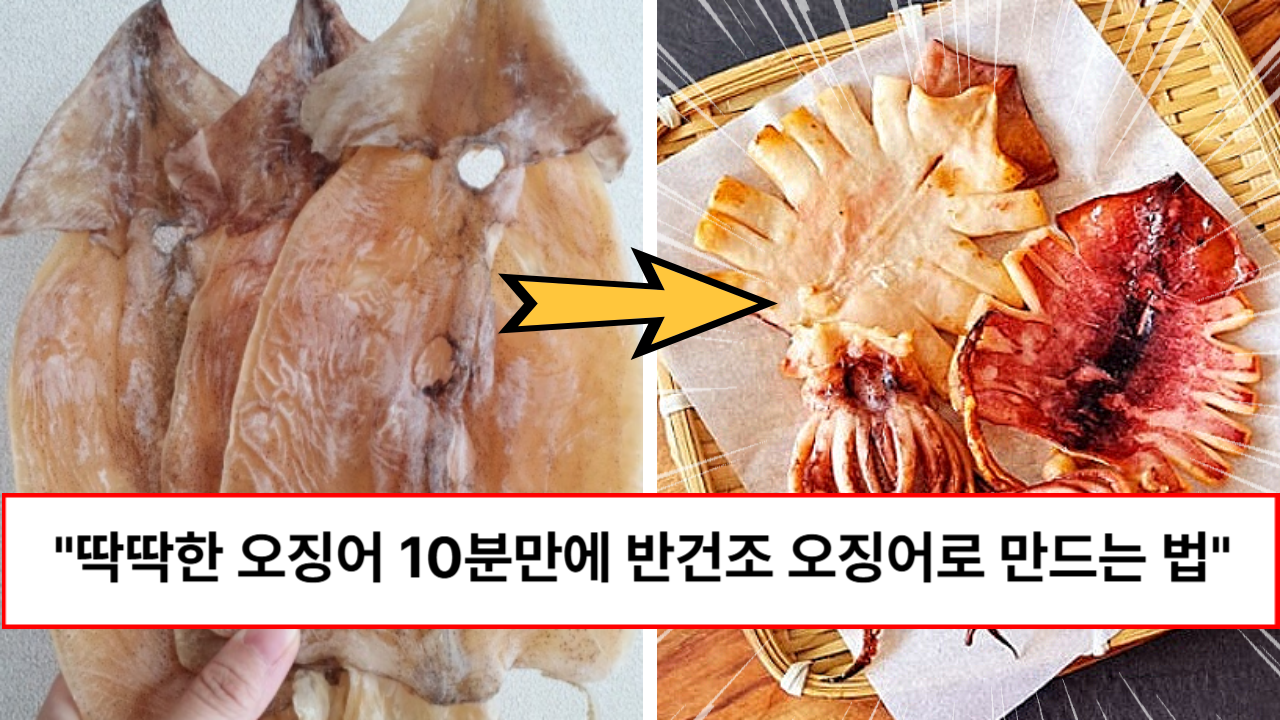 “말랑하게 드세요” 딱딱한 오징어 반건조 오징어로 10분만에 만드는 방법
