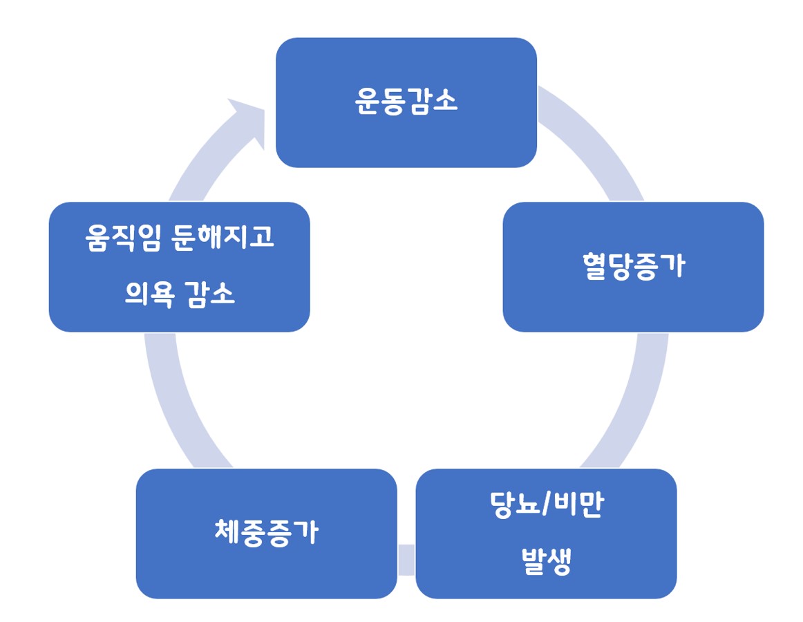 운동과 비만, 당뇨에 관한 '안 좋은 사슬(Bad Chain)'