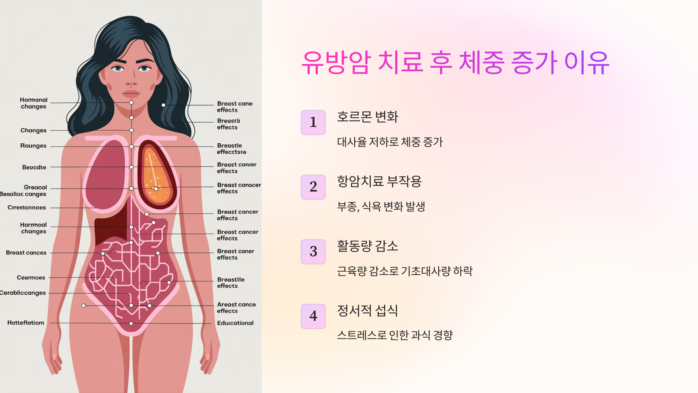 유방암 치료 후 체중 증가 이유