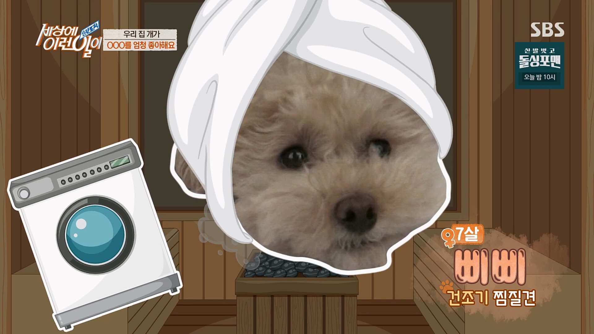 순간포착 세상에 이런일이.E1218.230221p.H264-F1RST.mp4_20230222_184820.453.jpg