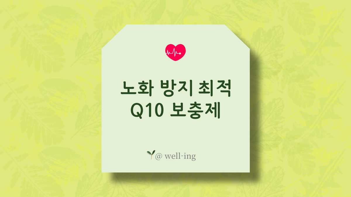 코엔자임Q10, 노화 방지와 에너지 회복을 위한 영양제 선택법