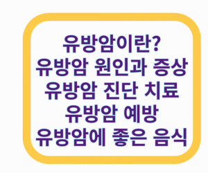 유방암 원인과 증상 진단 치료 예방