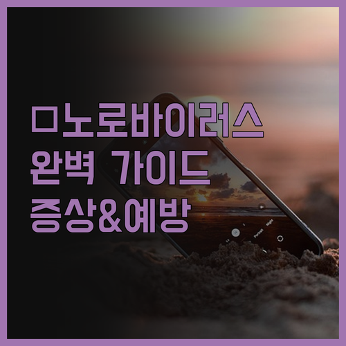 🔥 2024년 최신 🔥 노로바이러스 