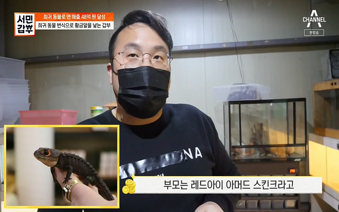 서민 갑부.E381.220431p-NEXT.mp4_20220501_180346.367.jpg