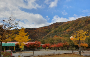 숲이조아 캠핑장 이미지