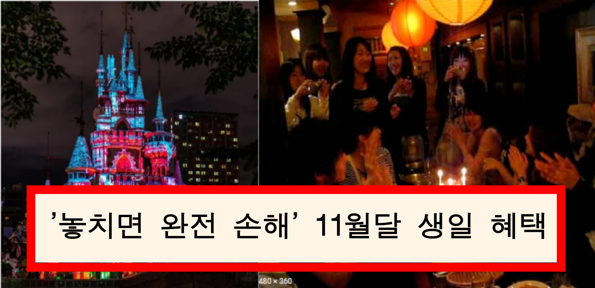  11월 생일 혜택 BEST 6