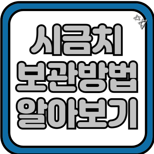 시금치 보관방법 효능 알아보기