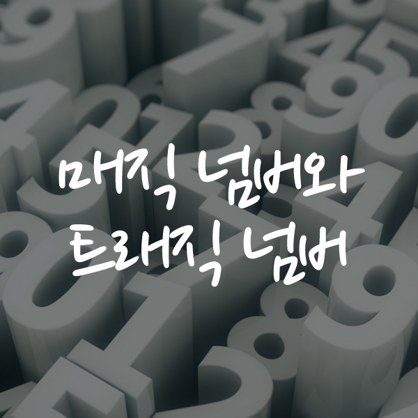  매직 넘버와 트래직 넘버