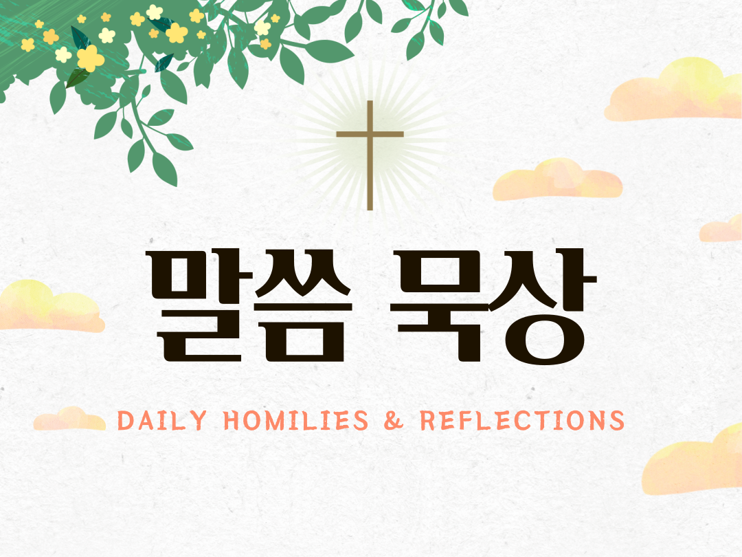 매일미사 오늘의 말씀 묵상 (Daily Homilies Reflections)