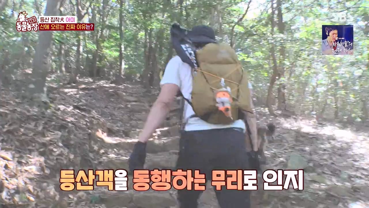 TV 동물농장.E1168.240422p-NEXT.mp4_20240421_170935.626.jpg