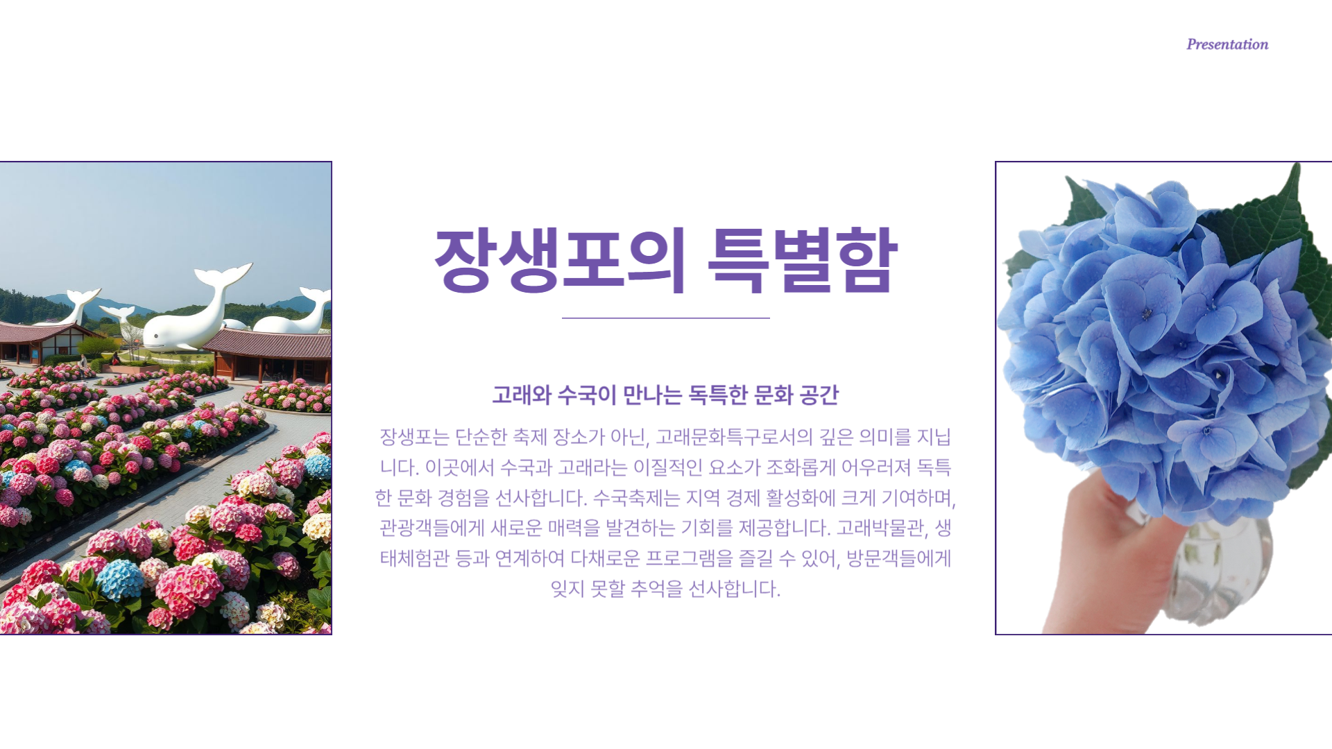 장생포 수국축제