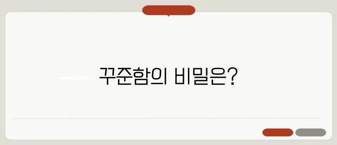 다이어트 후기! 성공한 3가지 방법을 공개합니다!