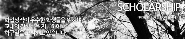 서경대 장학금: 유형 · 종류